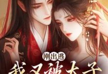 已完结小说《刚出逃，我又被太子绑回来了》在线阅读-美妙文学