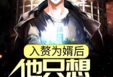 无删减版《入赘为婿后,他只想吃软饭》在线阅读-美妙文学