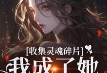 主人公叫燕停裴训之的小说收集灵魂碎片,我成了她的心尖宠在线阅读-美妙文学