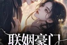 《联姻豪门继承人后，我逃婚了！》小说主角沈心姿陆仲廷免费在线阅读-美妙文学
