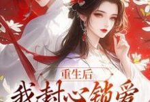 已完结小说《重生后，我封心锁爱，皇帝请离开》免费阅读-美妙文学