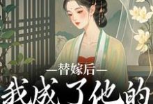 已完结小说《替嫁后，我成了他的心中挚爱》在线阅读-美妙文学