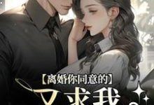 周晏辰沈青漓小说《离婚你同意的，又求我复婚干什么》在线阅读-美妙文学
