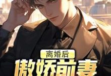 男女主人公李锁柱小说离婚后，傲娇前妻被疯狂打脸免费阅读-美妙文学