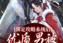 绑定攻略系统后，优质男被她迷晕了（禹乔）在线免费阅读-美妙文学