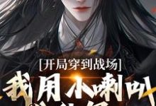 主人公叫王延臣陈圆圆的小说开局穿到战场,我用小喇叭扰乱军心在线阅读-美妙文学