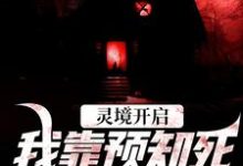 小说《灵境开启，我靠预知死亡技能无敌》免费阅读-美妙文学