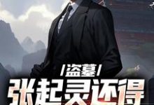 盗墓：张起灵还得靠我守护？免费阅读，盗墓：张起灵还得靠我守护？在线阅读-美妙文学