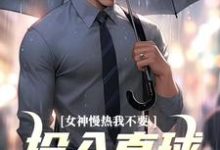 无删减版《女神慢热我不要，投入直球女怀抱》在线免费阅读-美妙文学
