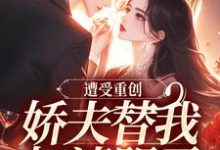 已完结小说《遭受重创,娇夫替我扫清阴霾》在线阅读-美妙文学