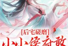 主人公叫姜婴沈昭容的小说后宅磋磨,小小侯府敢欺负本郡主?在线阅读-美妙文学