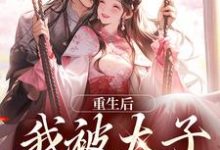 小说《重生后，我被太子缠上了》免费阅读-美妙文学