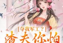 夺我军工？渣夫你怕是没命享凌朝歌南宫阎小说在线免费阅读-美妙文学