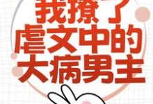 为了活命,我撩了虐文中的大病男主小说,为了活命,我撩了虐文中的大病男主在线阅读-美妙文学