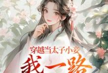 穿越当太子小妾，我一路扶摇直上沈嫣萧逸宸在线免费阅读-美妙文学