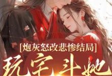 炮灰怒改悲惨结局，玩宅斗她真无敌乔欢颜宁缘小说在线免费阅读-美妙文学