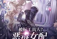 被标工具人？恶毒女配甩男主求自由小说在线无弹窗免费阅读-美妙文学