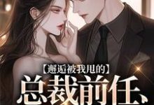 无删减版《邂逅被我甩的总裁前任，他又爱了！》在线免费阅读-美妙文学