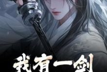 小说《我有一剑，白刃染红尘》免费阅读-美妙文学