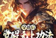 小说《穿越后，觉醒无上功法的我要复仇了》免费阅读-美妙文学