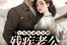 七零娇妻太会撩，残疾老公甜蜜蜜罗念初叶瑾南小说在线免费阅读-美妙文学