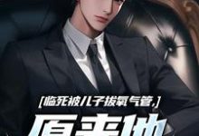 临死被儿子拔氧气管，原来他非亲生小说，临死被儿子拔氧气管，原来他非亲生在线阅读-美妙文学