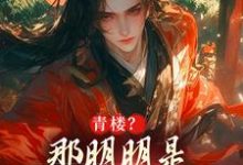 小说《青楼？那明明是本皇子的根据地》免费阅读-美妙文学