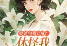 婆婆向我立威？休怪我一拳让你老实小说免费资源，婆婆向我立威？休怪我一拳让你老实在线阅读-美妙文学