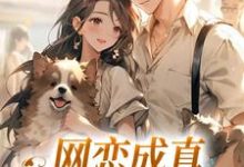 小说《网恋成真,这小子乐癫了》在线阅读-美妙文学