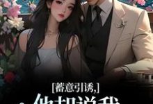 小说《蓄意引诱,他却说我表演痕迹太重!》在线阅读-美妙文学