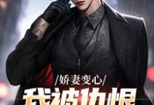 娇妻变心，我被仇恨占据了全身小说，娇妻变心，我被仇恨占据了全身免费阅读-美妙文学