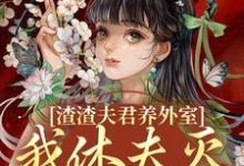 《渣渣夫君养外室，我休夫灭妾另高嫁》小说大结局免费试读 叶宛卿萧时衍小说-美妙文学