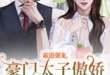 温阮厉言琛小说叫什么(霸道强宠,豪门太子傲娇求我怜爱!免费阅读)-美妙文学