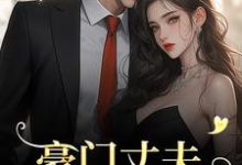 宁染陆时钧小说《豪门丈夫为何一反常态，频频回家？》在线阅读-美妙文学