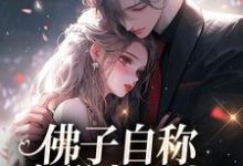 无删减版《佛子自称空巢老男人？我真的笑了》全章节阅读-美妙文学