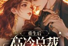 主人公叫许晚宁季牧野的小说哪里免费看-美妙文学