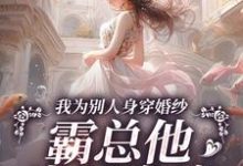 主人公叫骆京雪傅庭时的小说我为别人身穿婚纱，霸总他当场发疯在线阅读-美妙文学