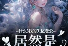 李阿曼敖光小说在线免费阅读（什么？我的失忆老公居然是东海龙王无弹窗无删减）-美妙文学