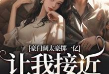 主人公叫南溪盛恩逸的小说豪门阔太豪掷一亿，让我接近她儿子在线阅读-美妙文学