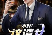 顾迟云云晚晚小说在哪里可以看-美妙文学