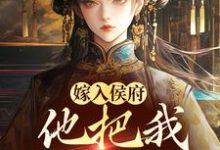 嫁入侯府,他把我婚书撕了?小说在线无弹窗免费阅读-美妙文学