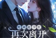 她藏起孕肚再次离开,顾爷气疯了顾宸秦舒予在线免费阅读-美妙文学
