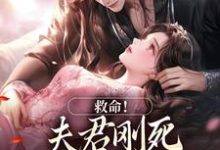 无删减版《救命!夫君刚死,权臣就来逼婚》免费阅读-美妙文学