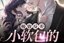 极致反差：小软包的疯批老公全章节免费在线阅读，温冉周祁枭完结版-美妙文学