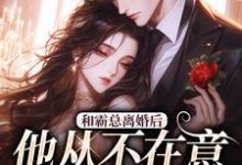 小说《和霸总离婚后，他从不在意变求复婚》免费阅读-美妙文学