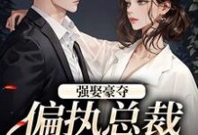 强娶豪夺：偏执总裁的追妻路小说，强娶豪夺：偏执总裁的追妻路最新章节-美妙文学