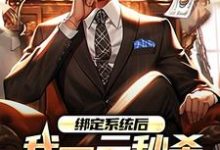 男女主人公林帆小说绑定系统后，我一元秒杀一辆奔驰免费阅读-美妙文学