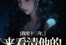 小说《我用十三年，来看清他的真心无常》免费阅读-美妙文学
