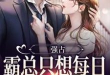 小说《强占：霸总只想每日与她缠绵》免费阅读-美妙文学