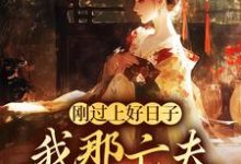刚过上好日子，我那亡夫怎么回来了小说免费资源，刚过上好日子，我那亡夫怎么回来了在线阅读-美妙文学
